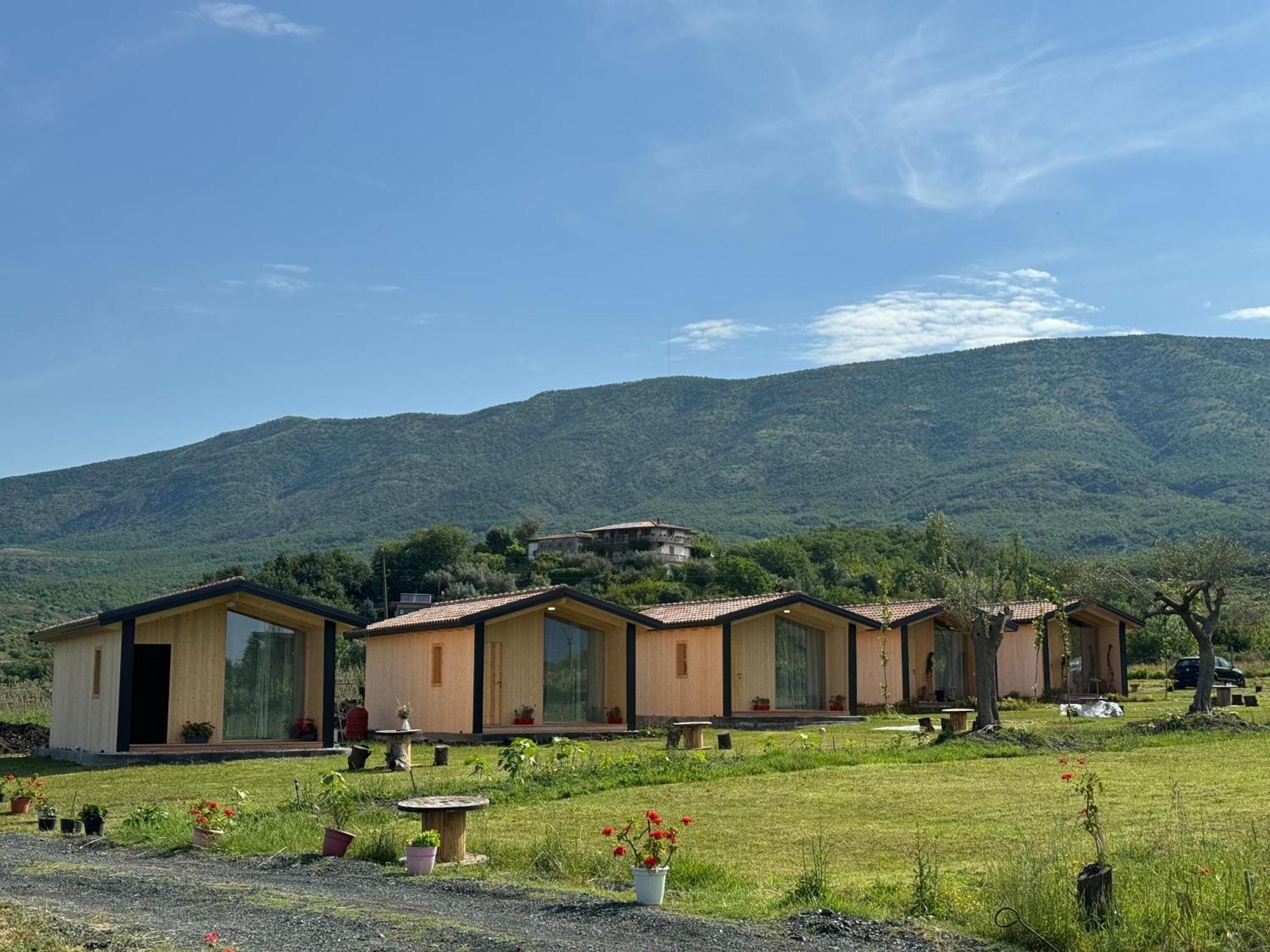 Fishta Guesthouse - Mrizi I Zanave Fishte Exterior photo